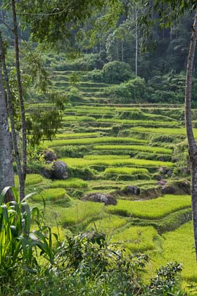 Kulturreisen Indonesien