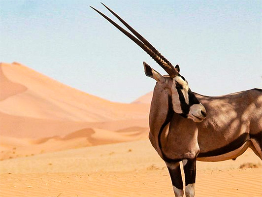 Namibia